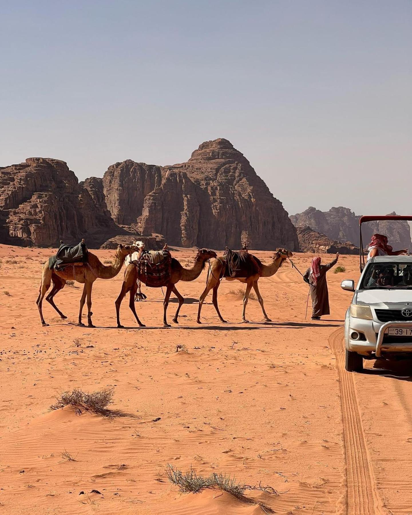 Daniela Camp Wadi Rum Bagian luar foto