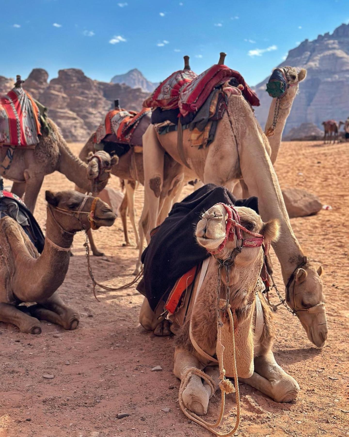 Daniela Camp Wadi Rum Bagian luar foto