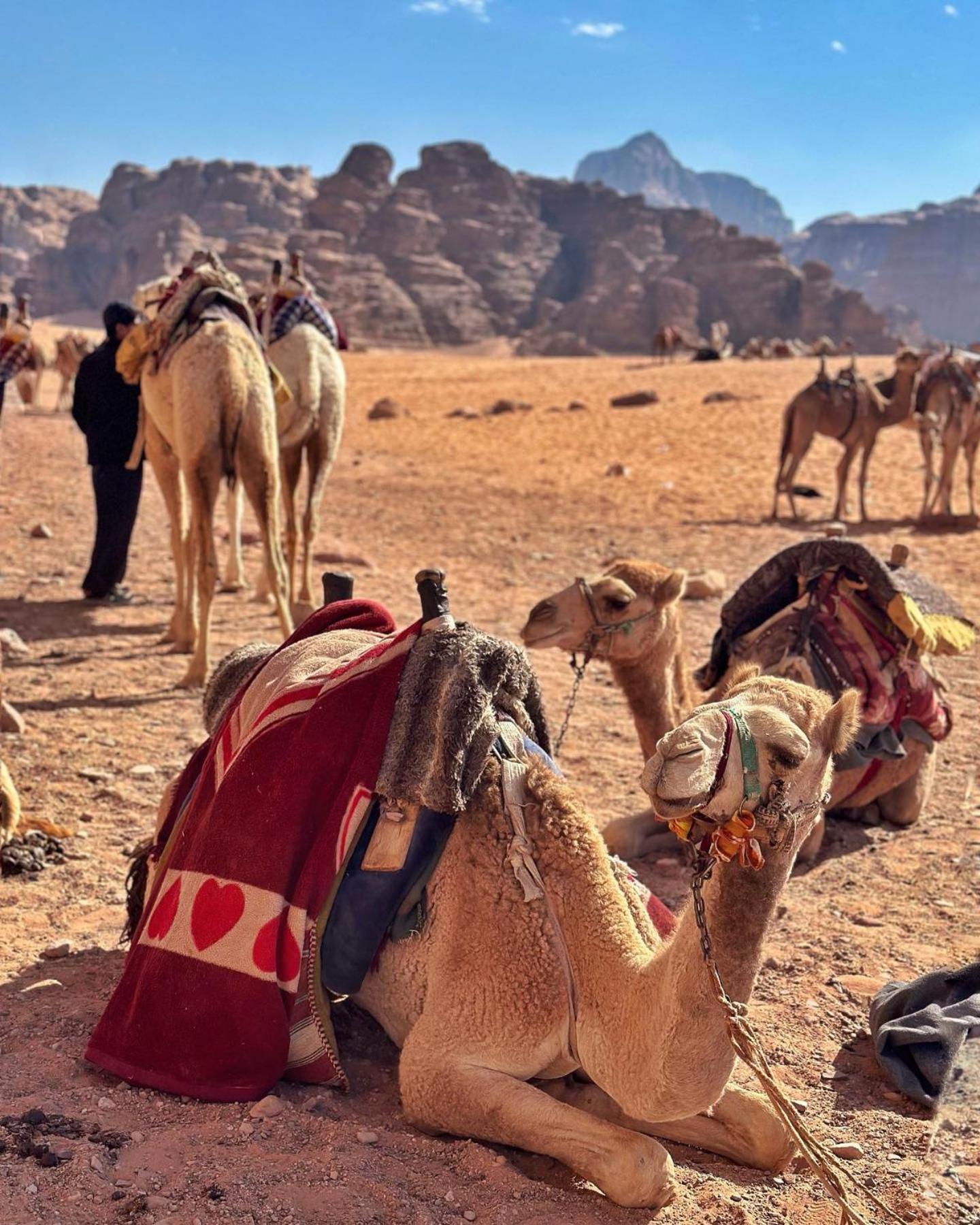 Daniela Camp Wadi Rum Bagian luar foto