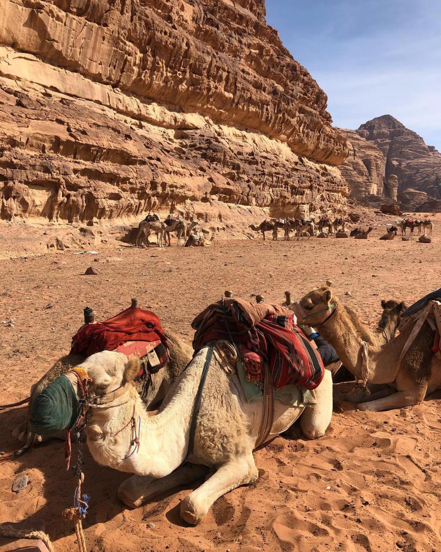 Daniela Camp Wadi Rum Bagian luar foto